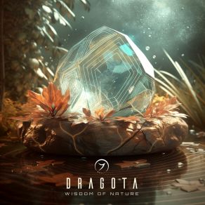 Download track Circle Of Silence Dragota