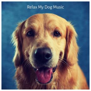 Download track Vishwa Dog Relaxation