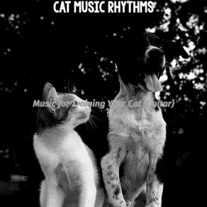 Download track Astonishing Backdrops For Cats Cat Music Rhythms