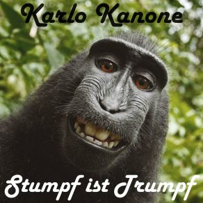 Download track Journalist Karlo Kanone