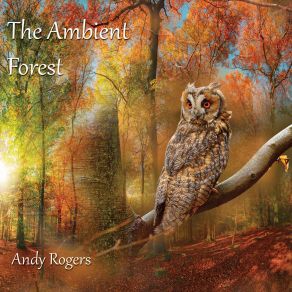 Download track Woodland Stream Andy Rogers