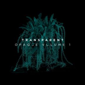 Download track Opaque TransparentD Los