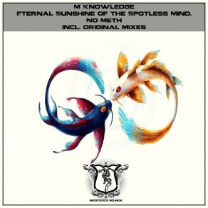 Download track Eternal Sunshine Of The Spotless Mind (Original Mix) M Knowledge