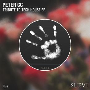 Download track Tribute To Tech House Peter Gc