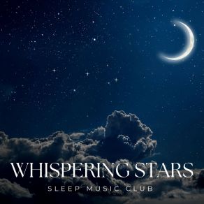 Download track Serene Waves Sleep Music Club