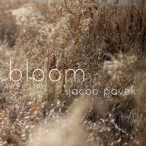 Download track Harvest Ii' Jacob Pavek