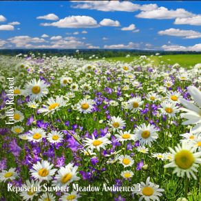 Download track Reposeful Summer Meadow Ambience, Pt. 1 Steve Brassel