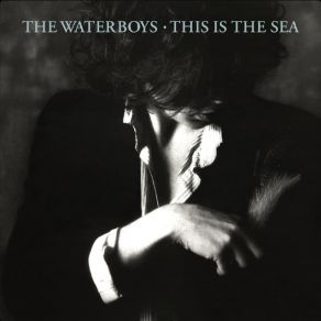 Download track Don't Bang The Drum - 2004 Remaster The Waterboys