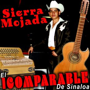 Download track Los Cinco Compitas El Incomparable De Sinaloa