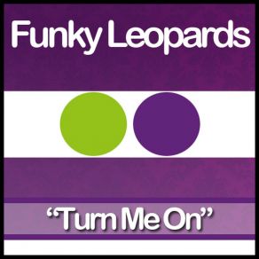 Download track Turn Me On (Radio Instrumental Mix) Funky Leopards