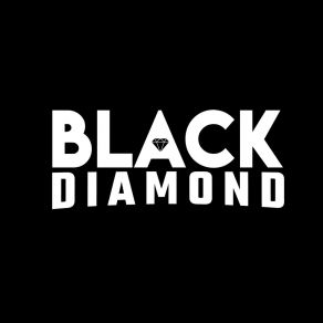 Download track Living The Dream Black Diamond Band