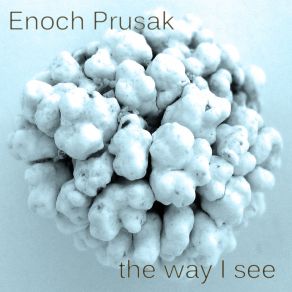 Download track Reaching The Closed Inside Enoch Prusak