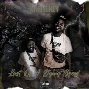 Download track Im Cold MarMoney