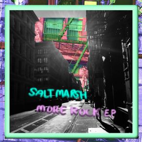 Download track Full Battery (Intro) Salt Marsh