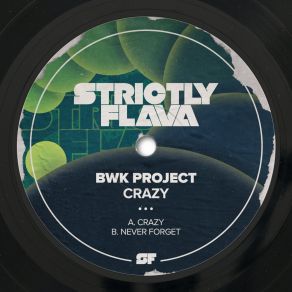 Download track Never Forget BWK Project