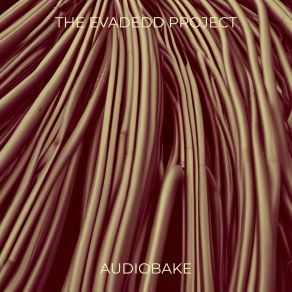 Download track Could Be Worse Audiobake