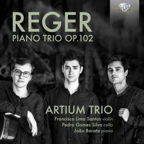 Download track Piano Trio, Op. 102: I. Allegro Moderato, Ma Con Passione Trio Artium