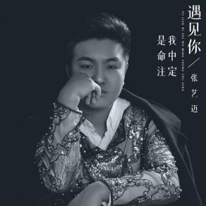 Download track 遇见你是命中注定 张艺迈