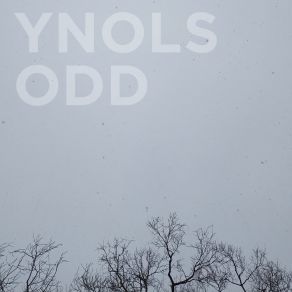 Download track Unaccountable Ynols