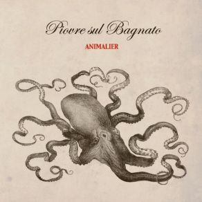 Download track L'Anatra Dal Discreto Piumaggio Piovre Sul Bagnato