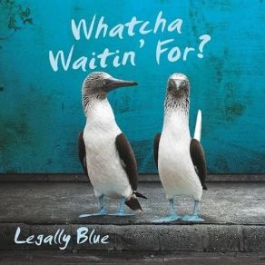 Download track Percolatin' Legally Blue