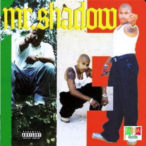 Download track Someone's Fxxkin With My Money (Album) Mr. ShadowAlbum