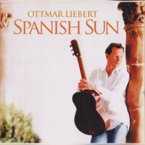 Download track Night Traveling Raindrops Ottmar Liebert