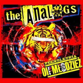 Download track Te Chłopaki' The Analogs