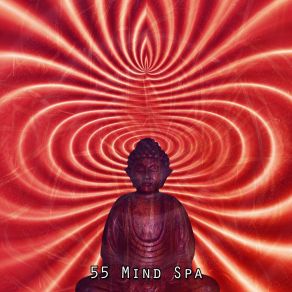 Download track Stripped Bare White Noise Meditation