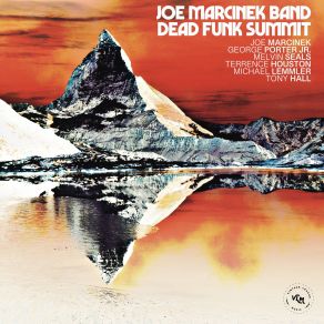 Download track Delete Joe Marcinek Band