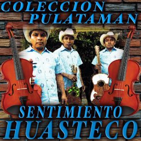 Download track El Canario Hidalguense Sentimiento Huasteco