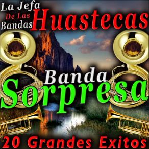 Download track Camino De Guanajuato Banda Sorpresa