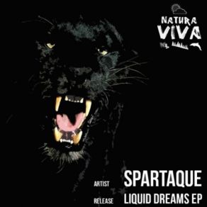 Download track Borderline (Original Mix) Spartaque