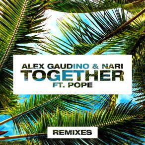 Download track Together (Raf Marchesini Remix) Pope