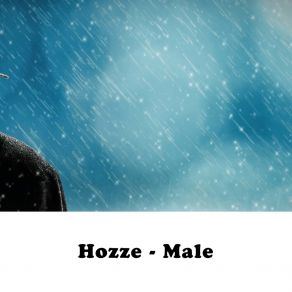 Download track Male (Radio Edit) Hozze