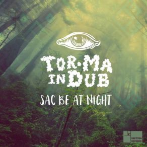 Download track Sac Be At Night Tor Ma In Dub