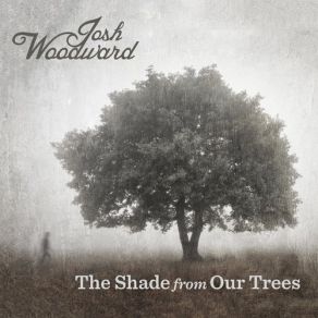 Download track The Rival Within Josh Woodward