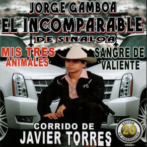 Download track Crimen De Tamazula Jorge Gamboa