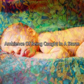 Download track Calming Of The Rain Rain Sounds