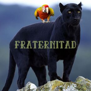 Download track Intento Frenmad