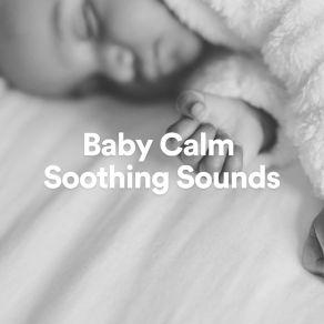 Download track Baby Calm Soothing Sounds, Pt. 1 White Noise For Babies