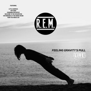 Download track Disturbance At The Heron House (Live) Rem