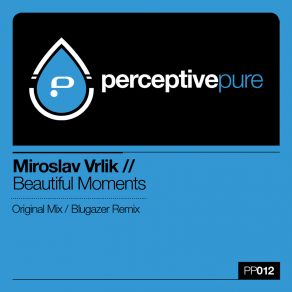 Download track Beautiful Moments (Blugazer Remix) Miroslav VrlikBlugazer