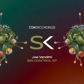 Download track Sin Control Joe Vanditti