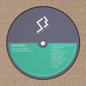 Download track Calanques (Duke Hugh Remix) Wayward