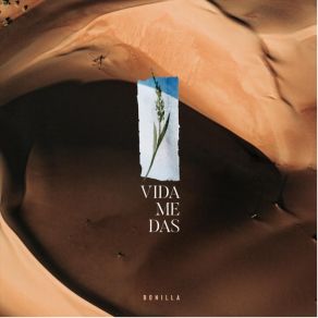 Download track Vida Me Das Bonilla