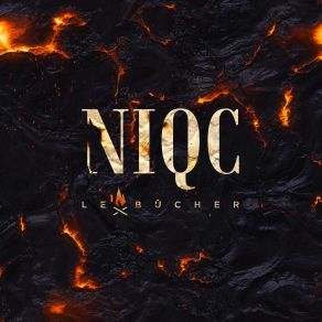 Download track Le Bûcher NIQC