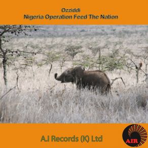 Download track Nigeria Operation Feed The Nation, Pt. 2 Ozziddi