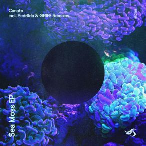 Download track Sea Moss (GRIFE Remix) CanatoGrife