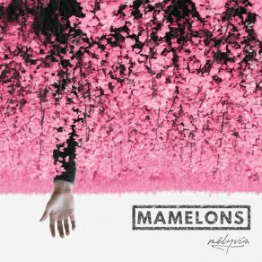 Download track Tép Mamelons